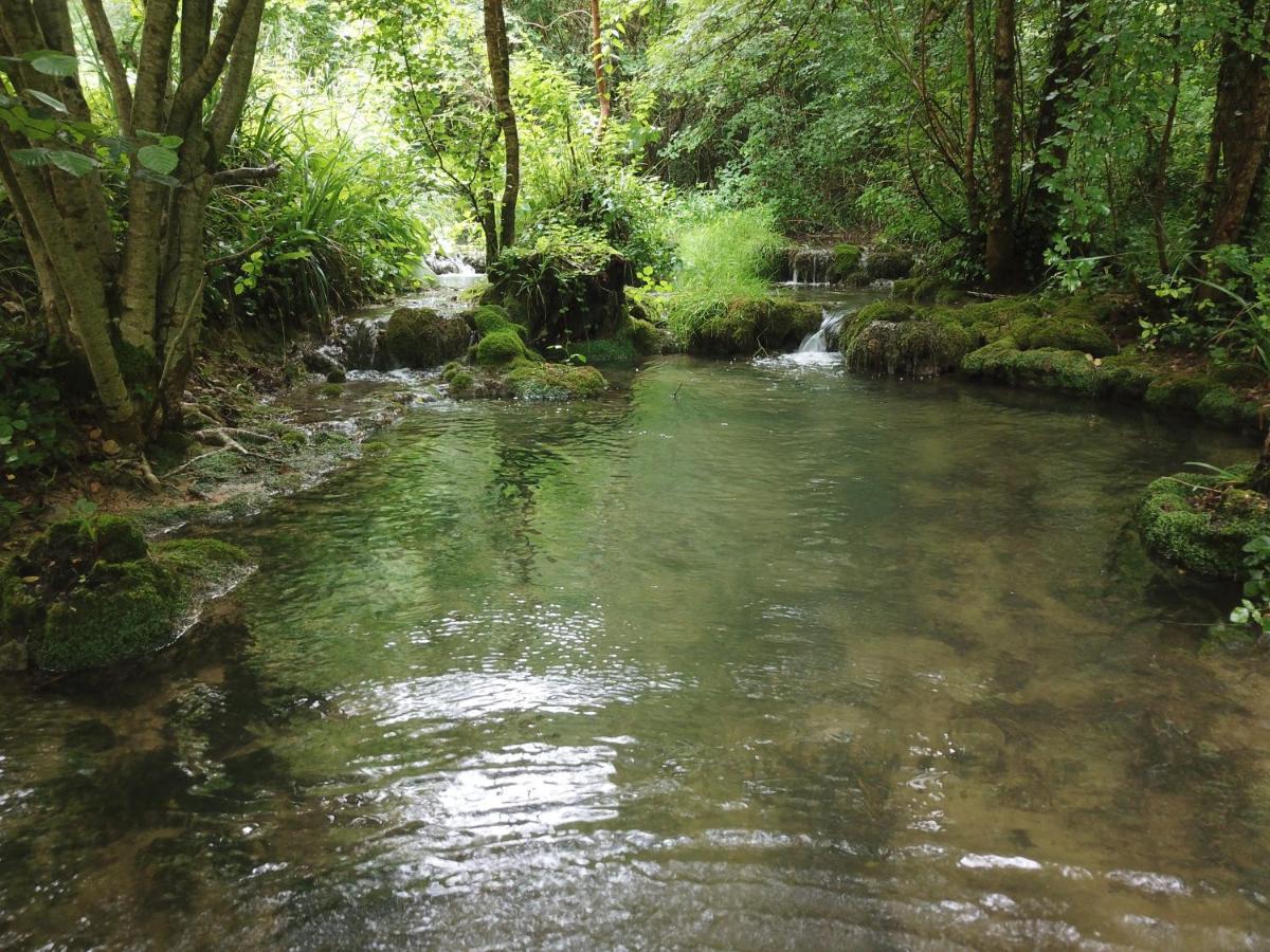 Moulin Bas, Pres De La Riviere Bed & Breakfast Carnac-Rouffiac Luaran gambar